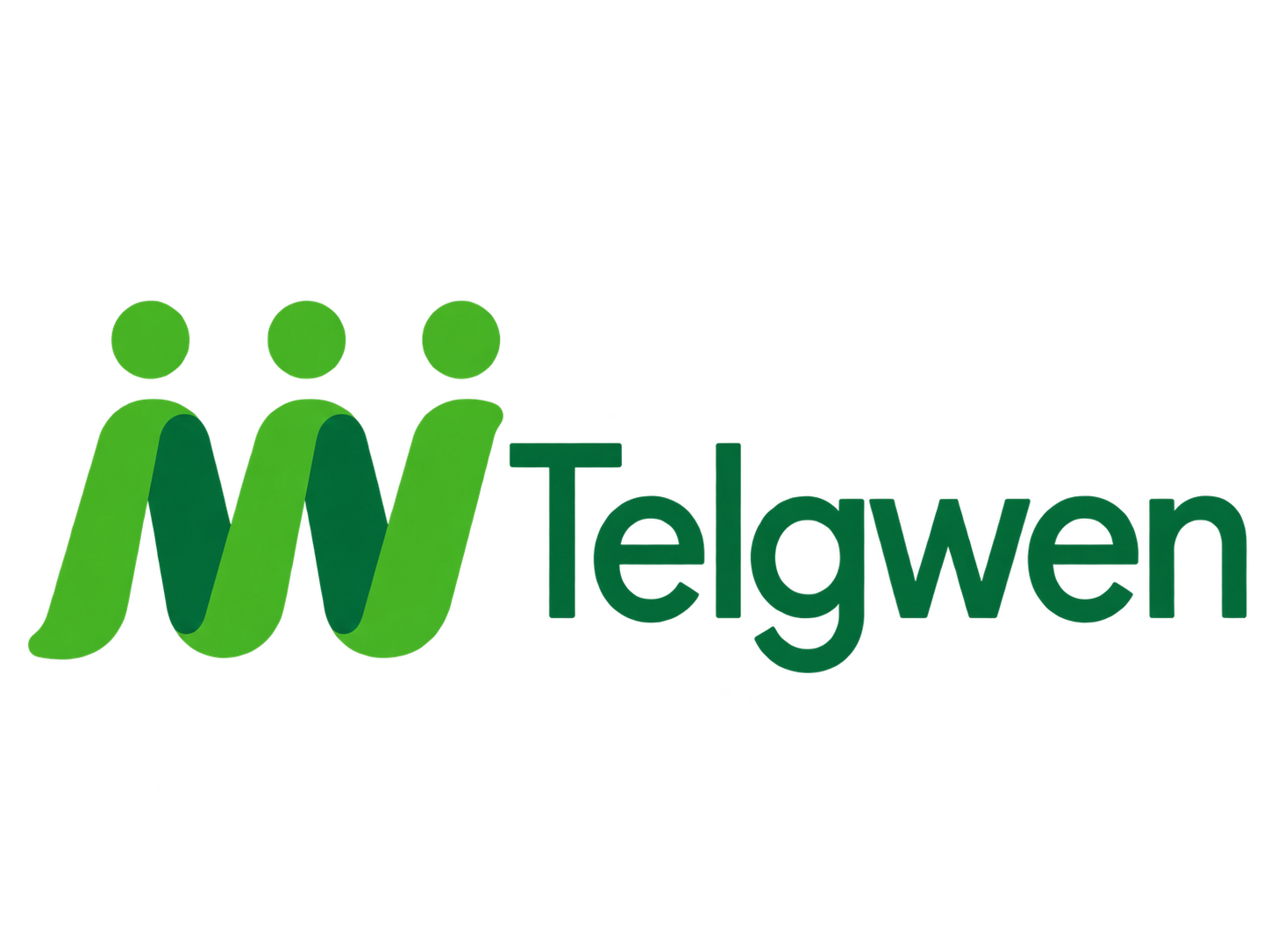 Telgwen Secure Storage