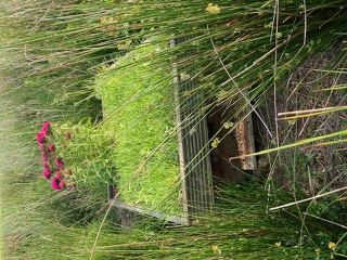 Bug hotel supporting insects